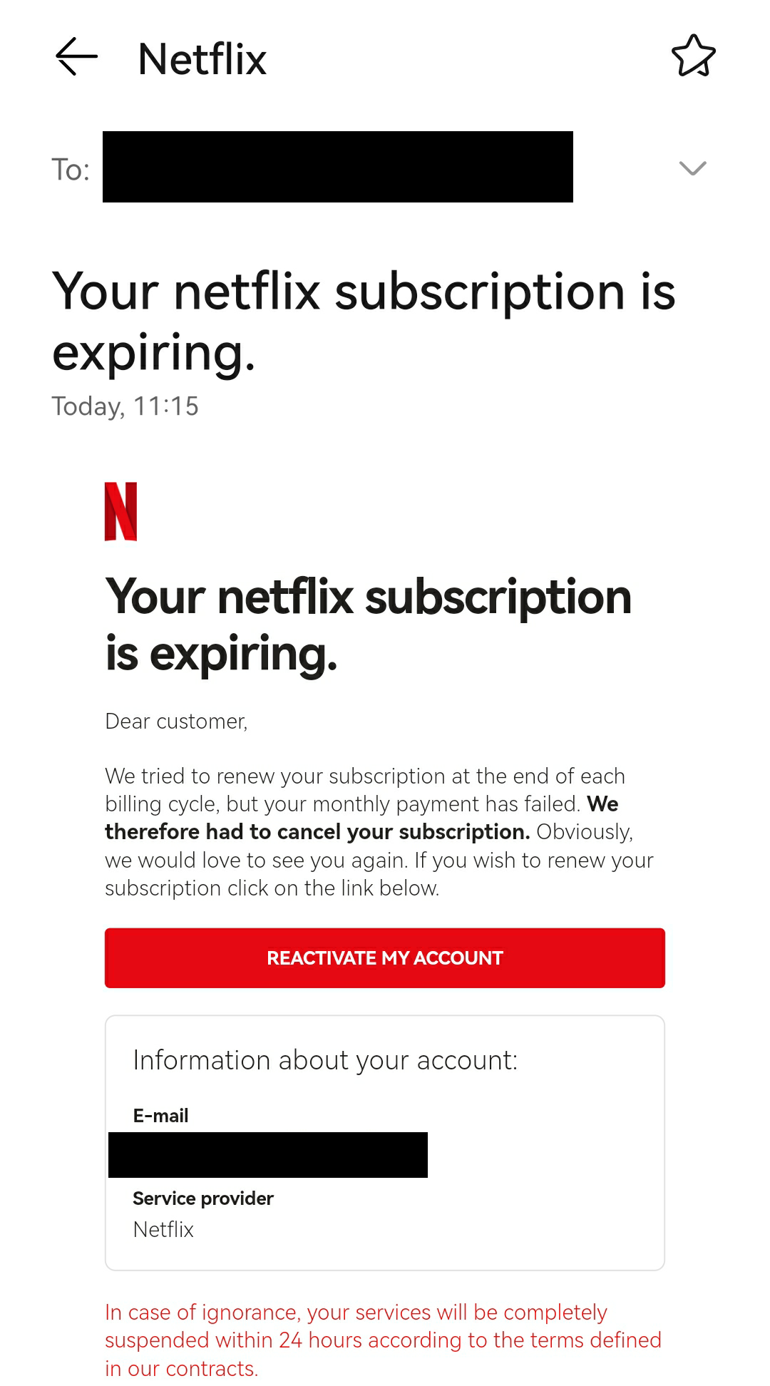 Netflix scam email 