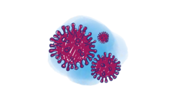 virus