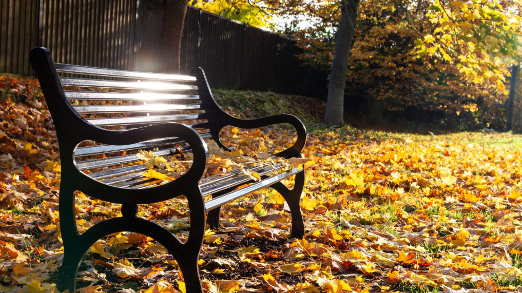Bereavement header