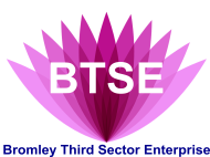 BTSE Logo Bromley Third Sector Enterprise Logo