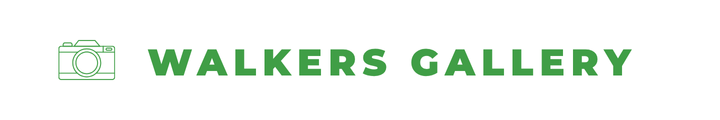 HeroBanner-WalkersGallery.png