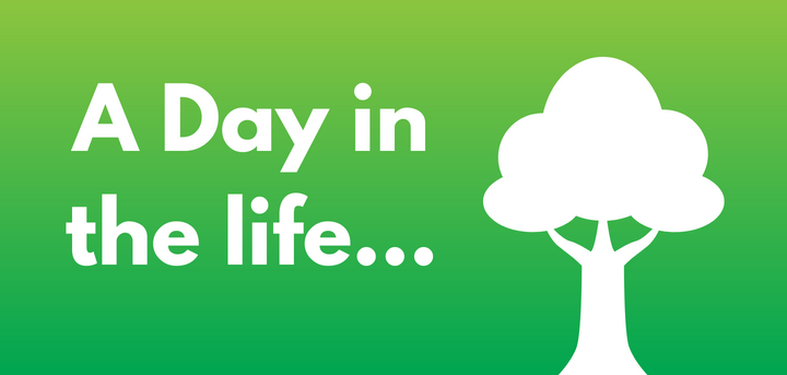 Green graphic with a white tree text reads a day in the life