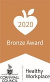 hw_bronze_2020.jpg