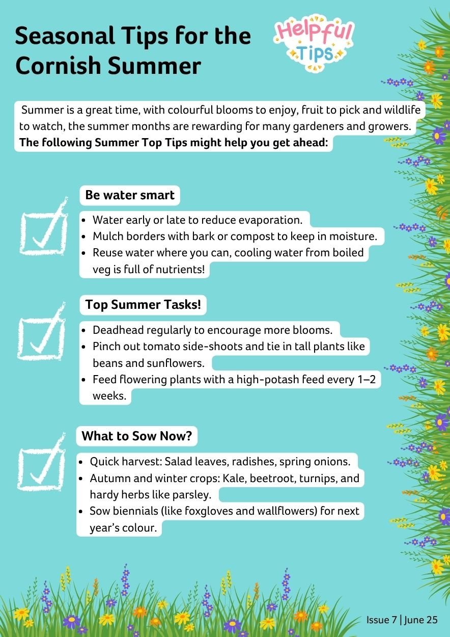 Seasonal Tips for Summer.jpg
