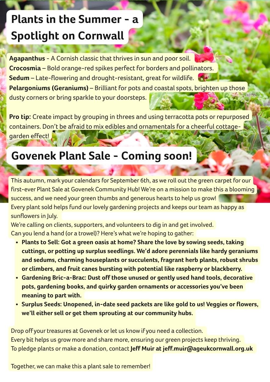 Spotlight - Summer Plants of Cornwall.jpg