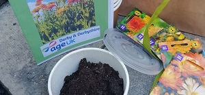 Marigold seed kits