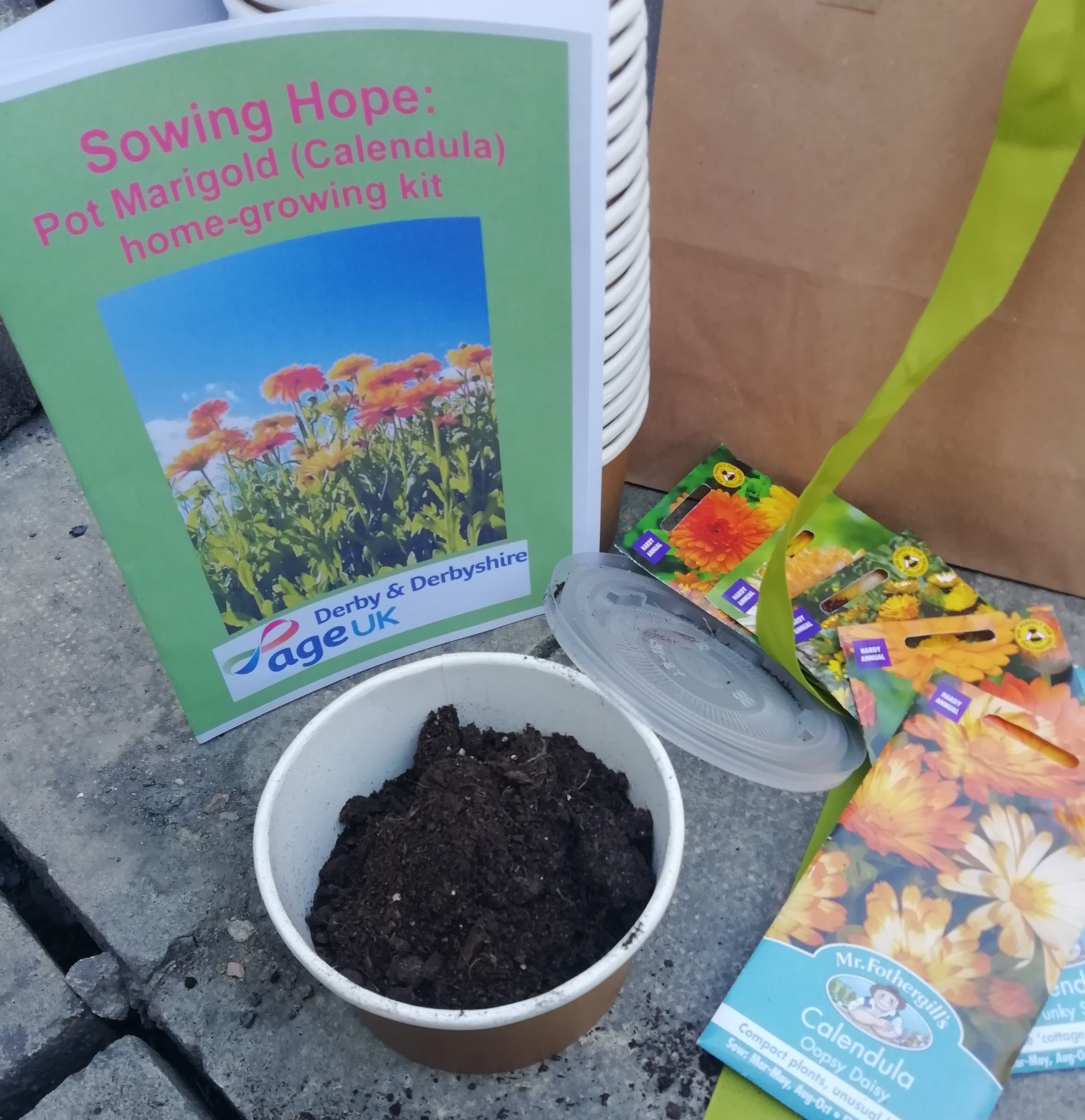 Marigold seed kit