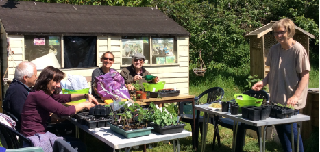 Age UK Exeter Budding Friends on the allotment