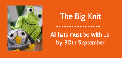 Big Knit image