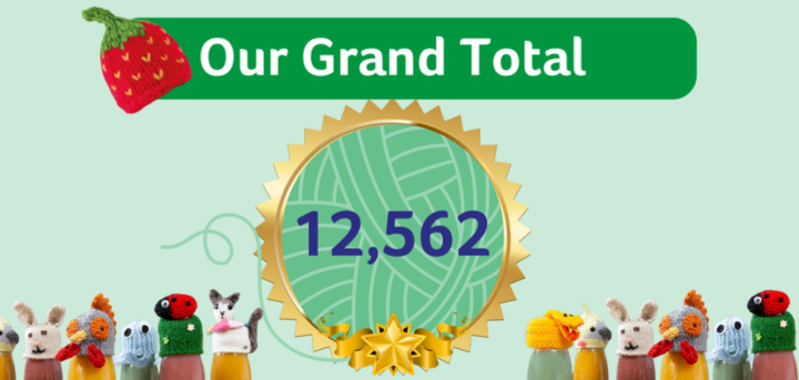 Our Big Knit Grand Total is Revealed!