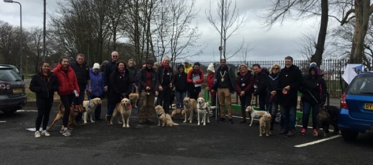 Great british sales dog walk 2019