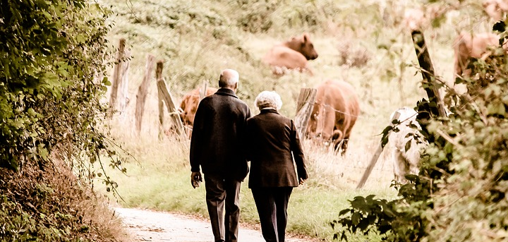 Elderly couple walking in the countryside
