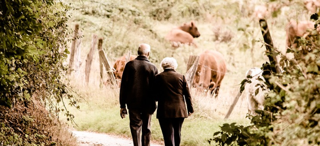 Elderly couple walking in the countryside