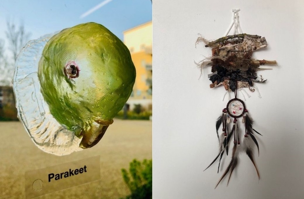 3D-Printed Parakeet & Wallhanging Created in Islington Parks' Activities