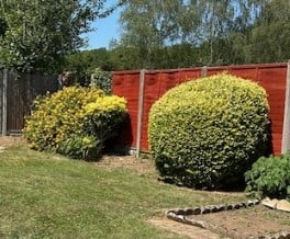 MF GARDEN PHOTO 9 (002).jpg