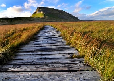 Image of Penyghent in the countryside Image of Penyghent in the countryside