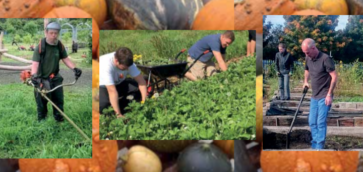 men gardening