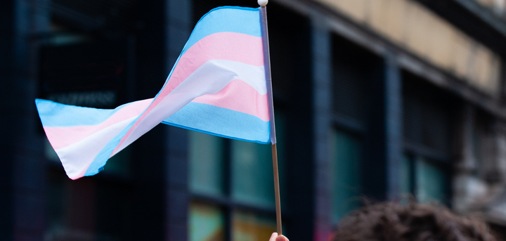 International Transgender Day of Visibility