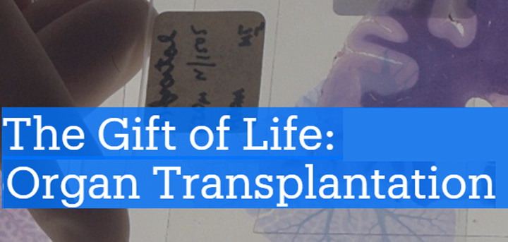 The gift of life - organ transplantation