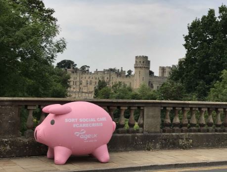 Penny the pig on tour