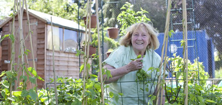 Woman in allotment