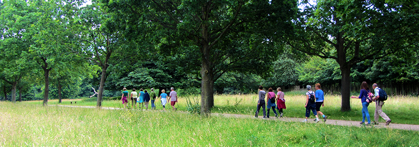 Local walking group