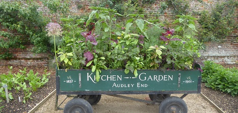 Victorian garden