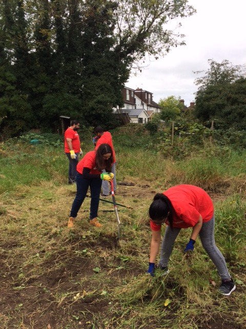 Santander clearning the allotment