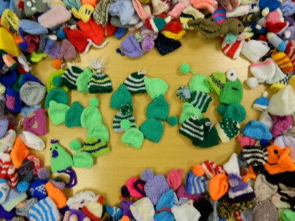 Hundreds of little woolly hats knitted for the Big Knit campaign