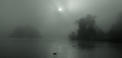 Detail of Ruth Elner's winning photo of the mere on a foggy day