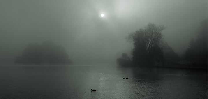 Detail of Ruth Elner's winning photo of the mere on a foggy day