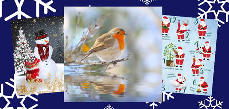 Age UK Shropshire Telford & Wrekin's Christmas card designs for 2023