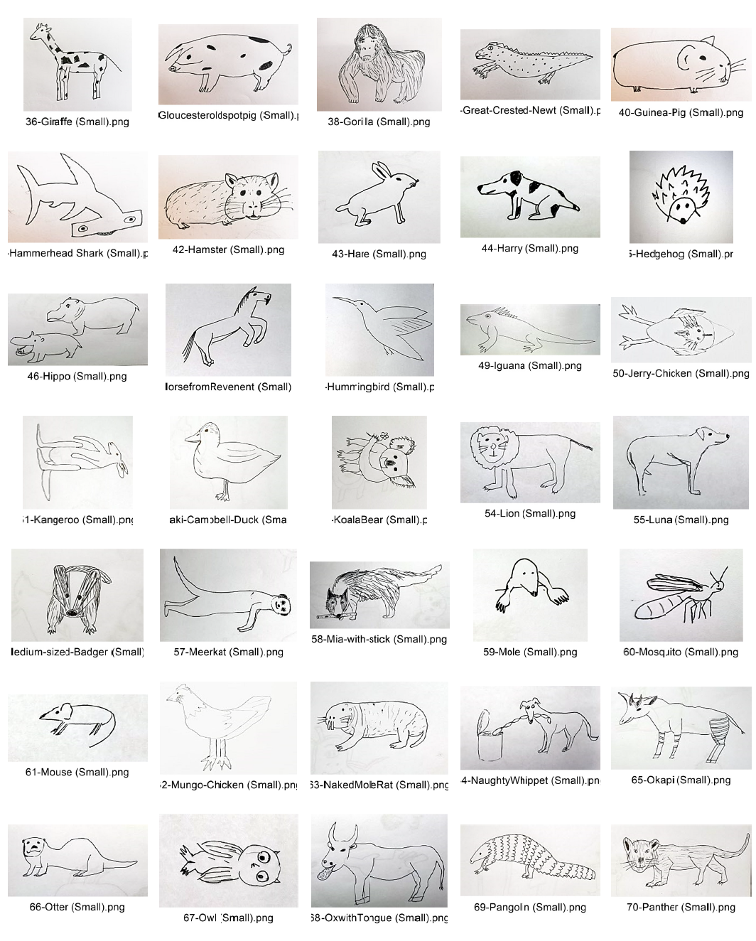 Gallery of 100 badly drawn animals