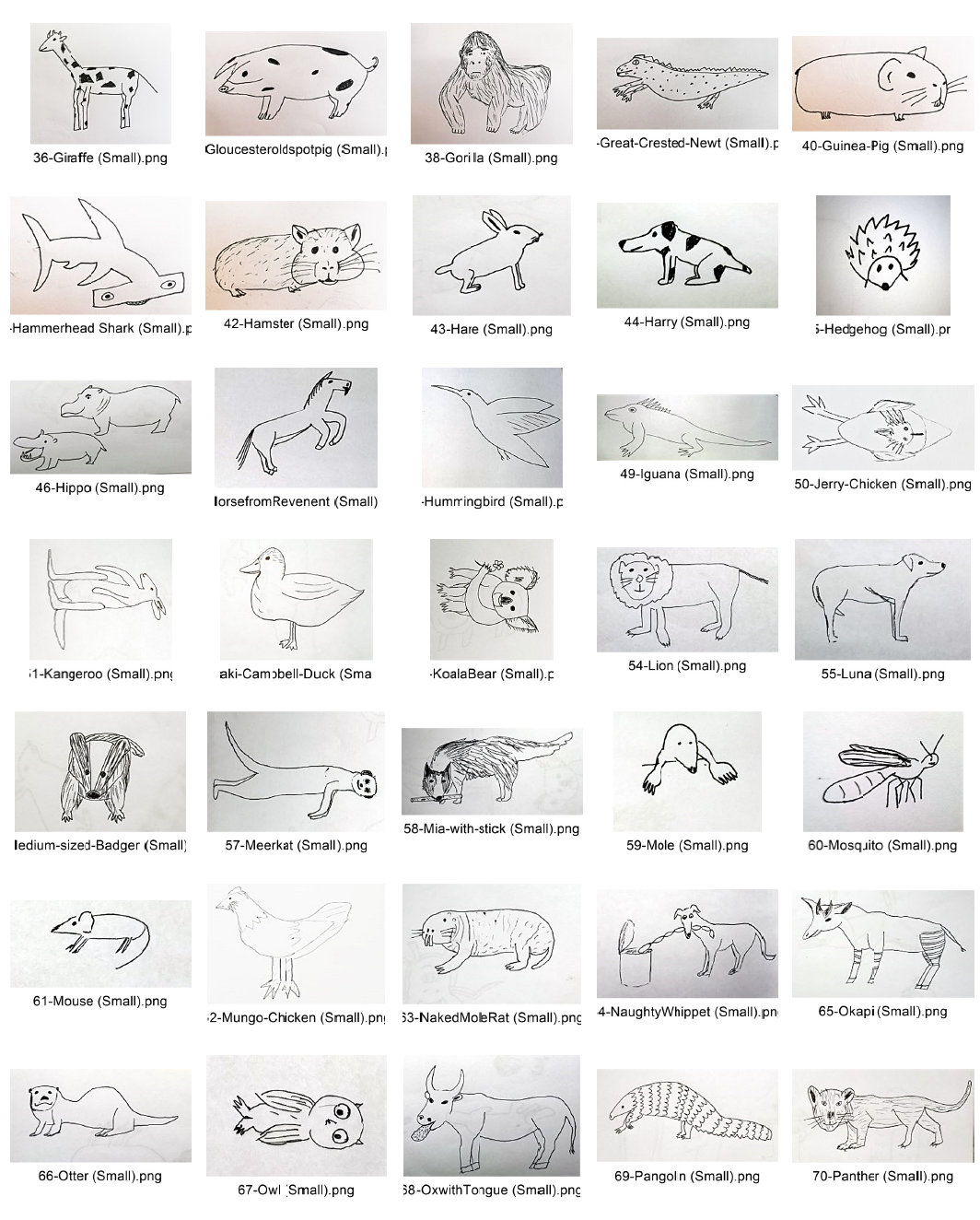 badly-drawn-animals-contact-sheet-2.png