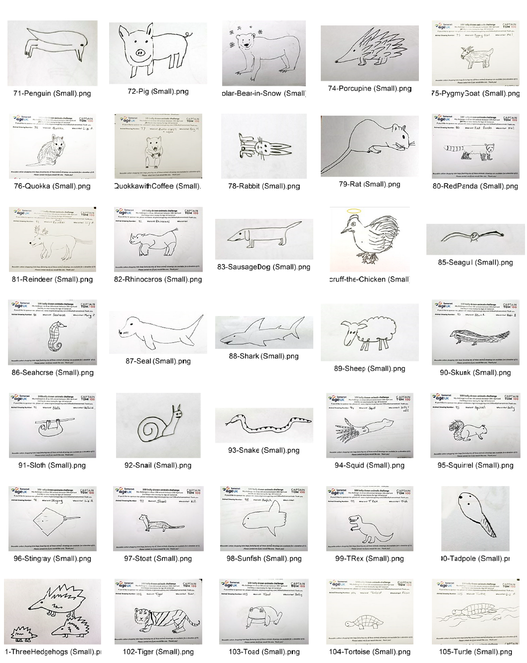 badly-drawn-animals-contact-sheet-3.png