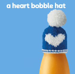 beginner bobble.png