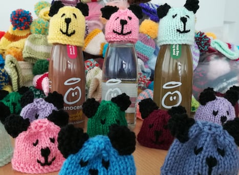 big knit 2018