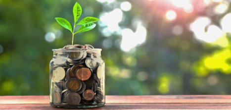 picture of money in a jar with a plant growing out of it