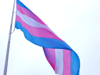 Transgender flag