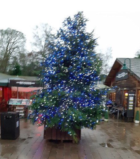 Christmas at Trentham, day trip