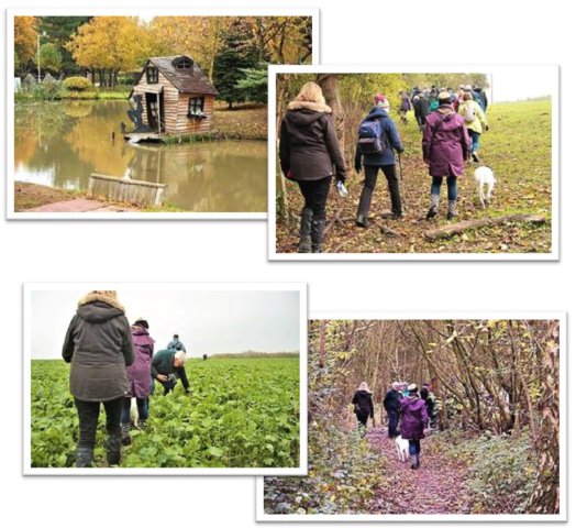 Wirralside Walkers, Royden Park