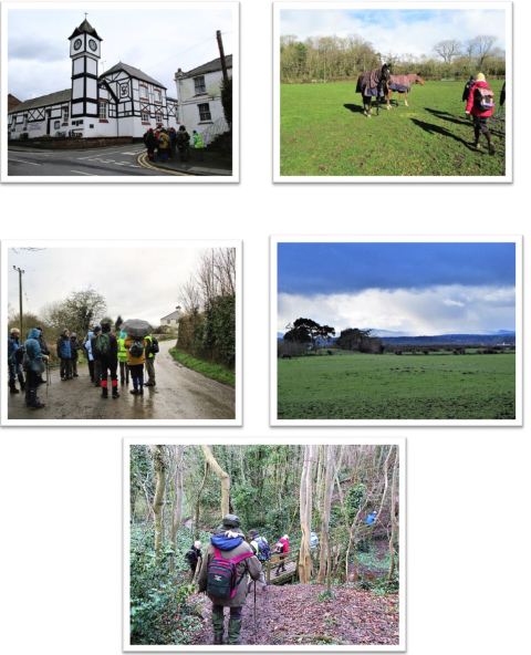 Wirralside Walkers  Shotwick and Saughall