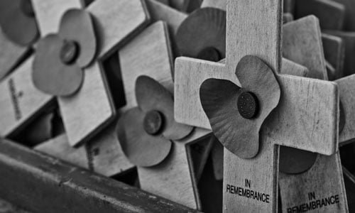 Remembrance poppies