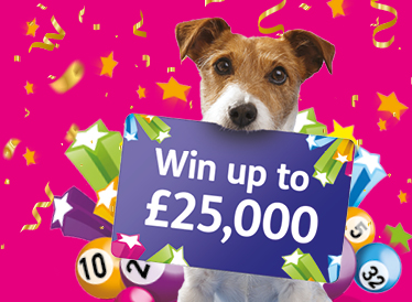 Powerball lottery uk play Powerball lottery uk play