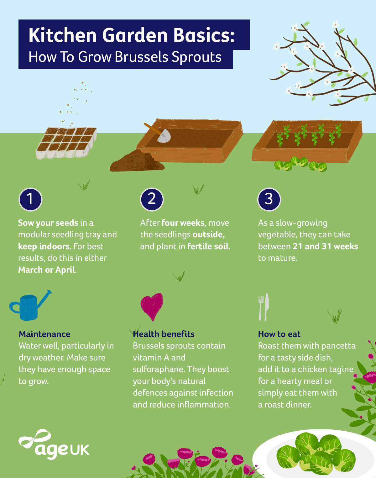 Brussels-Sprouts---Step-By-Step.png