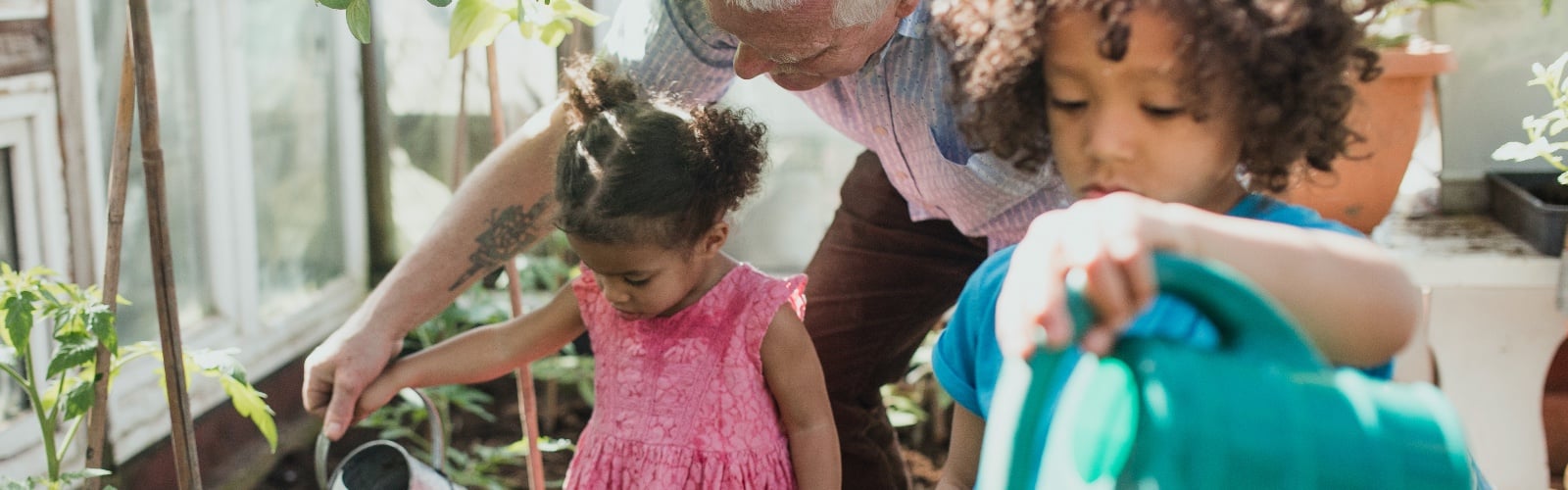 An older man and two children watering plants in a garden