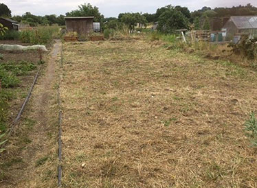 How the Age UK allotment plot used to look